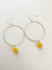 Cheese hoops - 14k gold filled hoops - large or medium