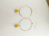 Cheese hoops - 14k gold filled hoops - large or medium